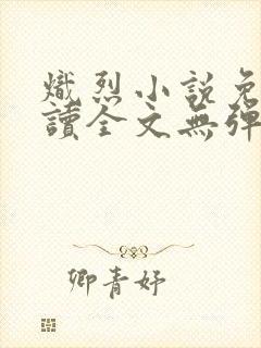 炽烈小说免费阅读全文无弹窗封面