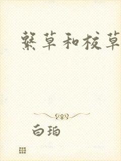 系草和校草