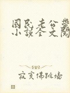 国民老公带回家小说全文阅读封面