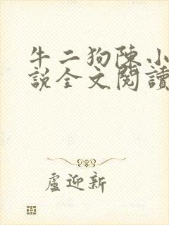 牛二狗陈小燕小说全文阅读