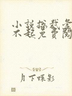 小说总裁爹地惹不起免费阅读全文