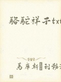 骆驼祥子txt
