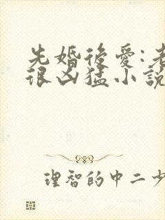 先婚后爱:老公很凶猛小说免费阅