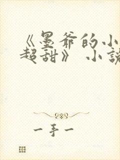《墨爷的小萌妻超甜》 小说