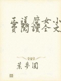 正道魔女小说免费阅读全文最新章节封面