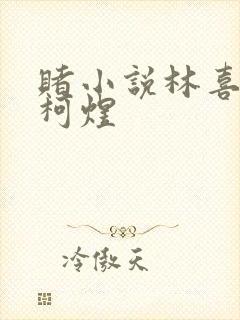 赌小说林喜朝和柯煜
