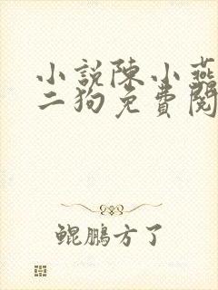 小说陈小燕,牛二狗免费阅读封面