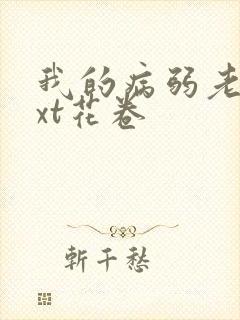 我的病弱老婆txt花卷封面