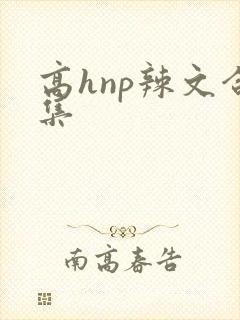 高hnp辣文合集封面