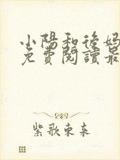 小阳和后妈小说免费阅读最新章节更新封面