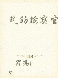 我的检察官先生