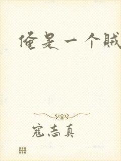 俺是一个贼