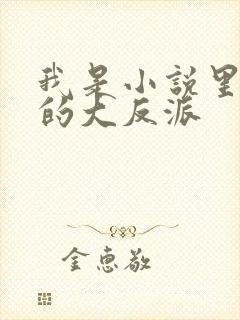 我是小说里共同的大反派
