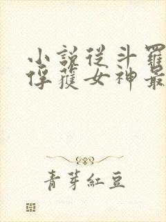 小说从斗罗开始俘获女神最新章节
