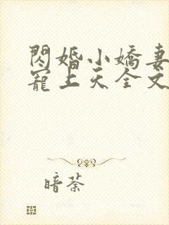 闪婚小娇妻大叔宠上天全文免费阅读无弹窗
