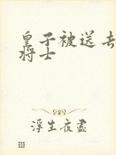 皇子被送去犒劳将士