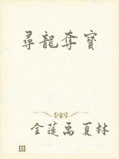 寻龙夺宝封面