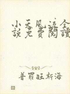 小天风流全集小说免费阅读封面