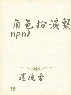 角色扮演系统(npn)