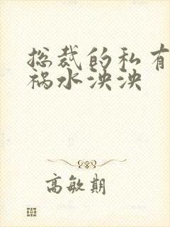总裁的私有宝贝祸水泱泱