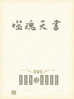 噬魂天书