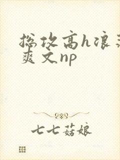 总攻高h浪荡肉爽文np