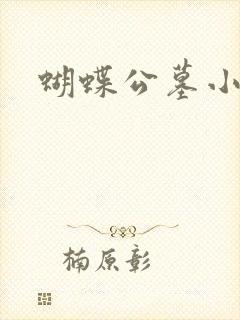 蝴蝶公墓小说封面