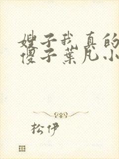 嫂子我真的不是傻子叶凡小说 原名
