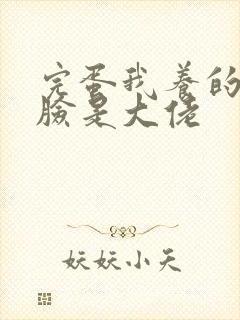 完蛋我养的小白脸是大佬