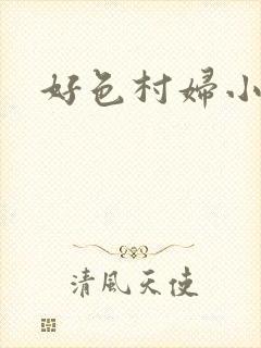 好色村妇小银贼封面