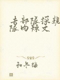 去部队探亲被全队肉辣文封面