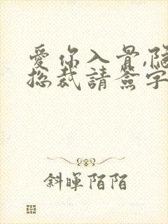 爱你入骨,隐婚总裁请签字txt下载封面