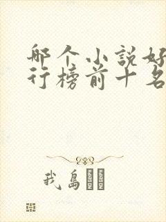 哪个小说好看排行榜前十名封面