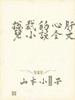 总裁的心肝宝贝儿小说全文阅读封面