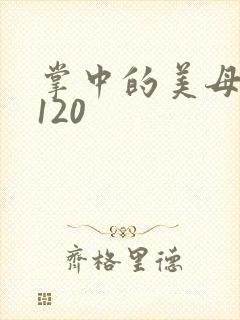 掌中的美母版主120