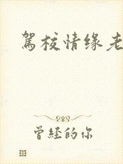 驾校情缘老赵