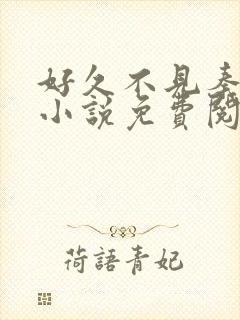 好久不见秦先生小说免费阅读封面
