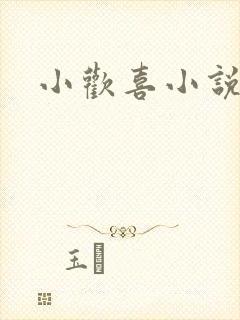 小欢喜小说