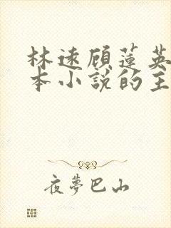 林远顾莲英是哪本小说的主角封面