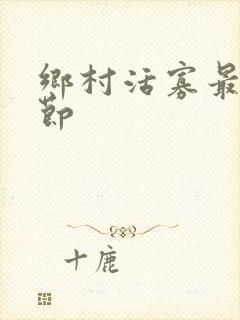 乡村活寡最新章节