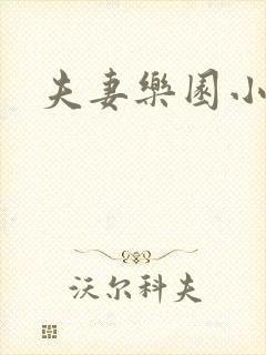 夫妻乐园小说封面