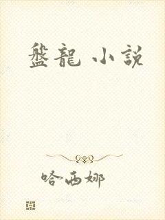 盘龙 小说封面