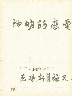 神明的恋爱游戏