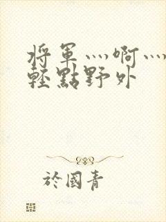 将军灬啊灬啊灬轻点野外封面