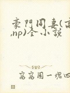 豪门同妻(高h,np)全小说封面