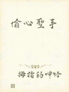 偷心圣手