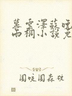 慕云泽苏晚晴夏雨桐小说免费阅读