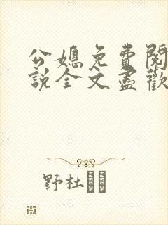 公媳免费阅读小说全文尽欢年代封面