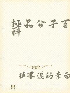 极品公子百度百科