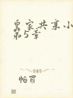 皇家共享小公主第5章